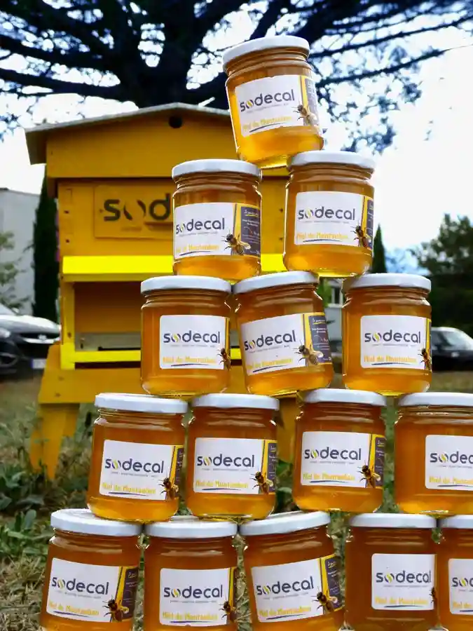Production de miel Sodecal
