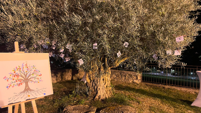 Arbre de nos valeurs - Séminaire Festi Sodecal