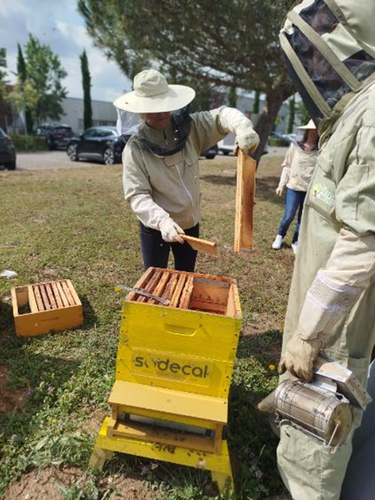Atelier extraction du miel de nos ruches