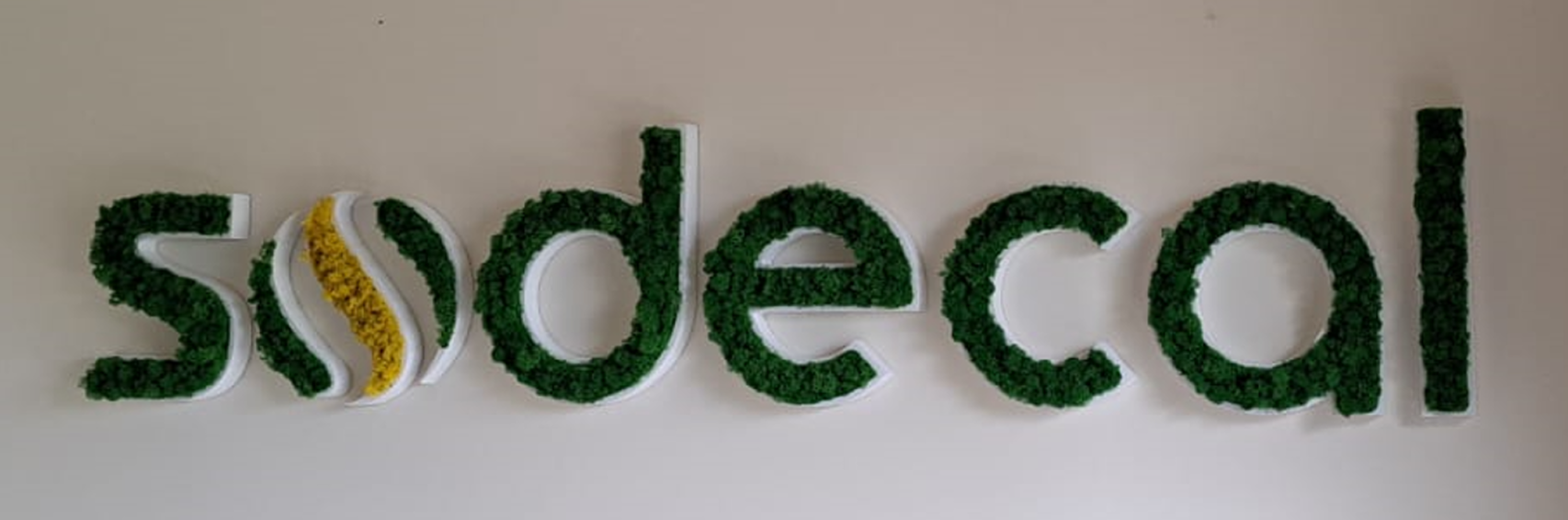 logo végétalisé 